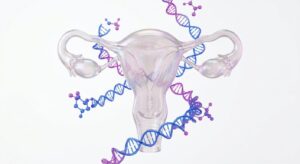 의학적 임신중단 상담을 시각화한 3D 일러스트